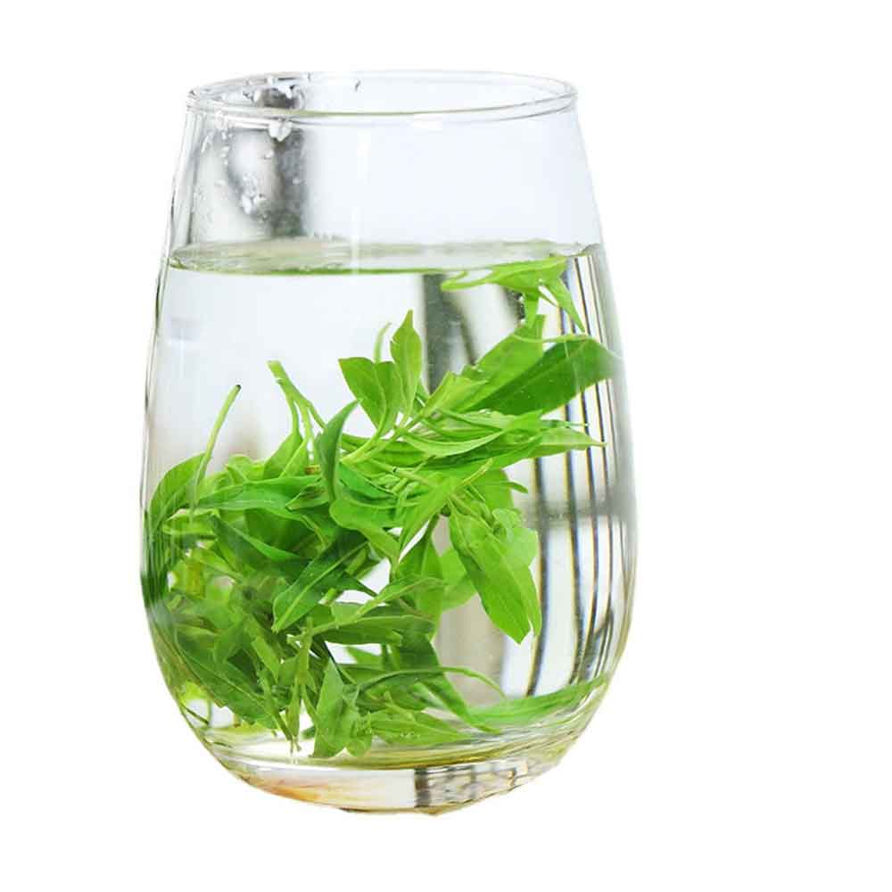 Chinese Herbal Tea Natural Small Leaf Kuding