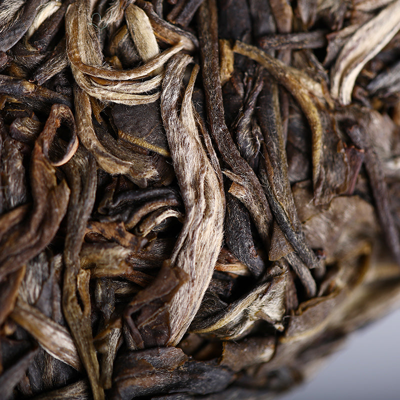 Haiwan 2019 Raw Pu-erh Tea "Deep Mountains and Old Tree" Batch 191 Sheng Pu-erh Tea From Yunnan Tea Cake 500g