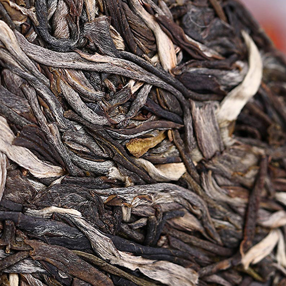 Haiwan 2019 Raw Pu-erh Tea Menghai Tea Area "Zhu Yuan Yu Run" Sheng Pu-erh Tea From Yunnan Tea Cake 400g